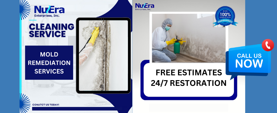 mold remediation process - NuEra Restoration and Remodeling