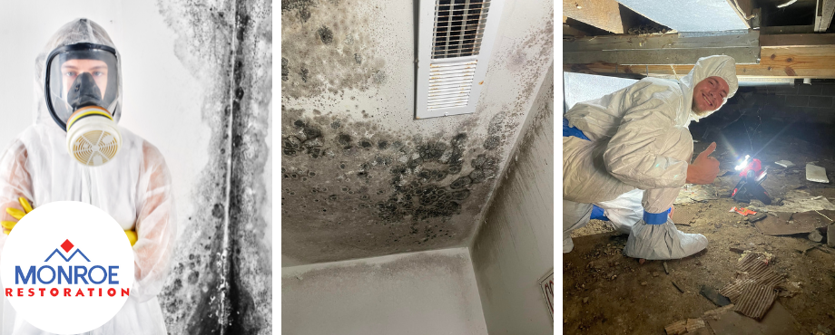 mold-removal-Elkhart, IN