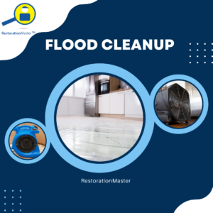 Flood Cleanup