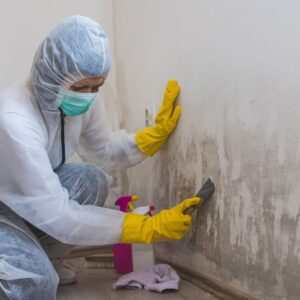 Mold Cleanup, Fallon, NV