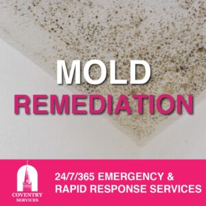 mold-remediation-Falls-Church, VA