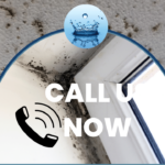 mold remediation call us now
