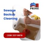 sewage backup cleanup services fort myers fl