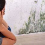 mold-removal-fort Wayne-MD