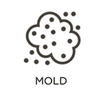 Mold-Damage