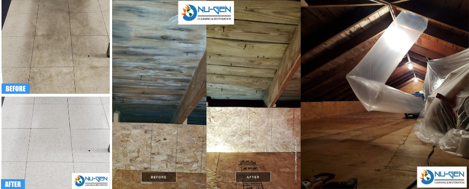 Mold Removal and Remediation - Nu-Gen Cleaning & Restoration