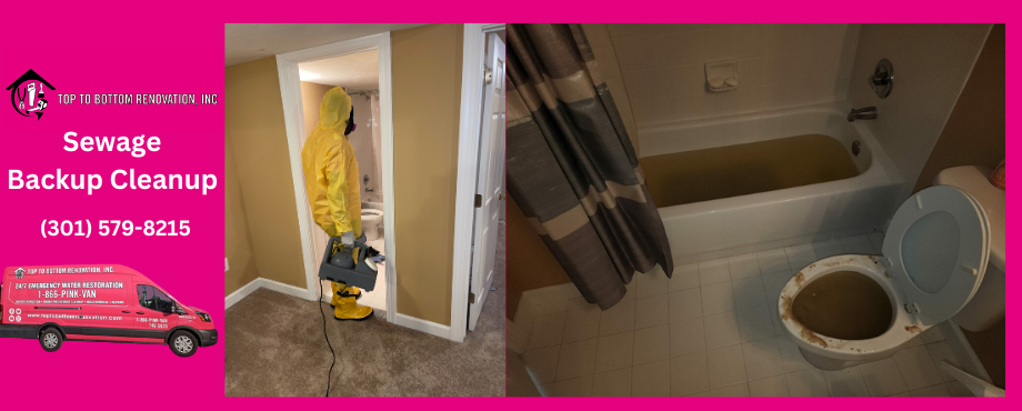 Top To Bottom Renovation, Inc. Sewage Backup Cleaning