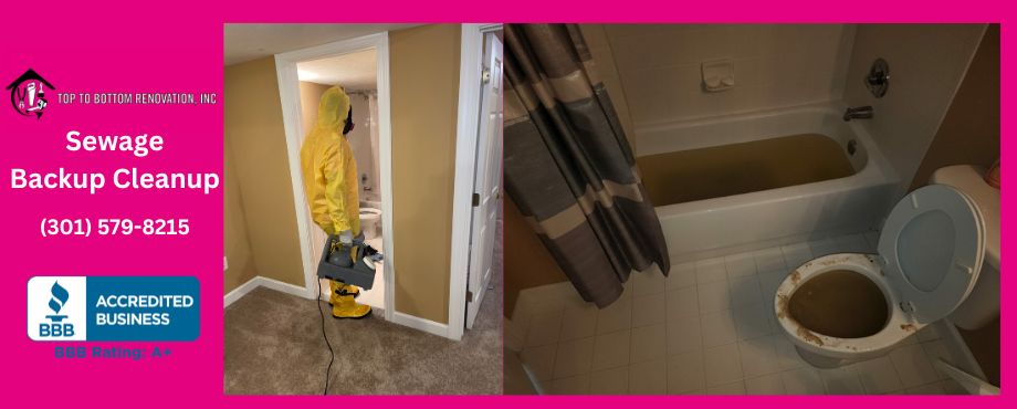 Call (301) 579-8215 Top To Bottom Renovation Sewage Backup Cleaning