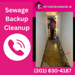 Sewage Backup Cleanup - Top To Bottom Renovation