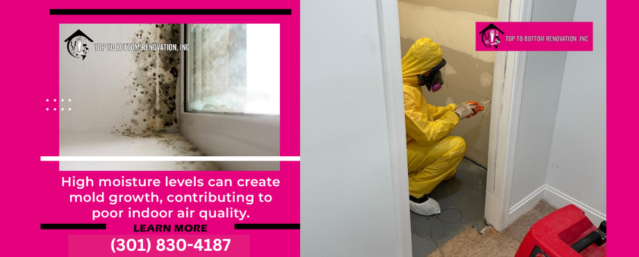 Top To Bottom Renovation, Inc. Mold Remediation Experts