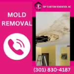 mold remediation - Top To Bottom Renovation