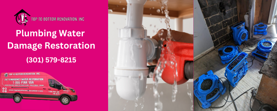 Top To Bottom Renovation Plumbing Services and Water Damage Restoration