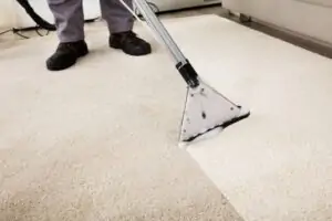 professional-carpet-cleaning in hammond, IN