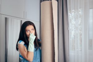 Odor Removal in Harleysville, PA