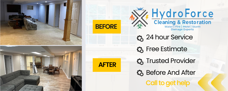 Mold Remediation - HydroForce Cleaning & Restoration