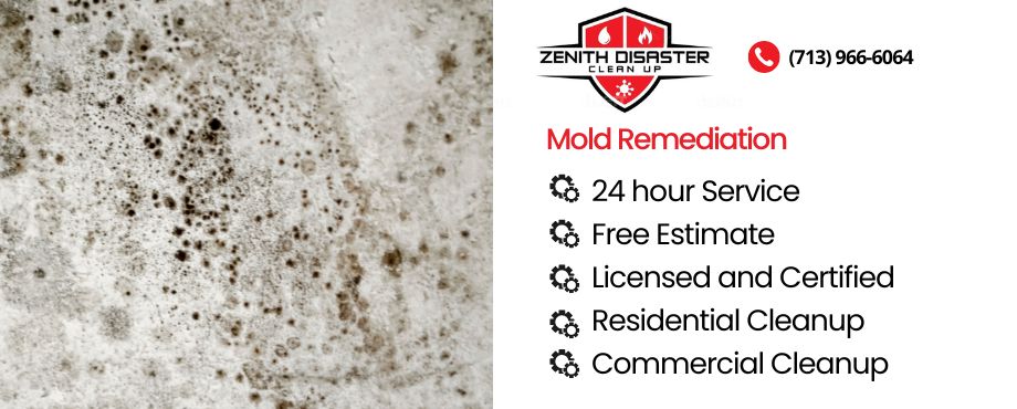 mold remediation experts houston tx