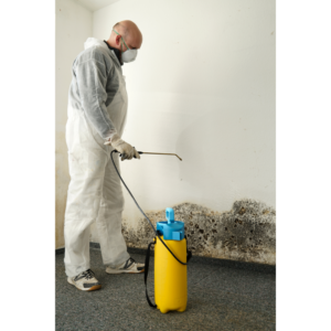 mold-removal-Huntington-IN