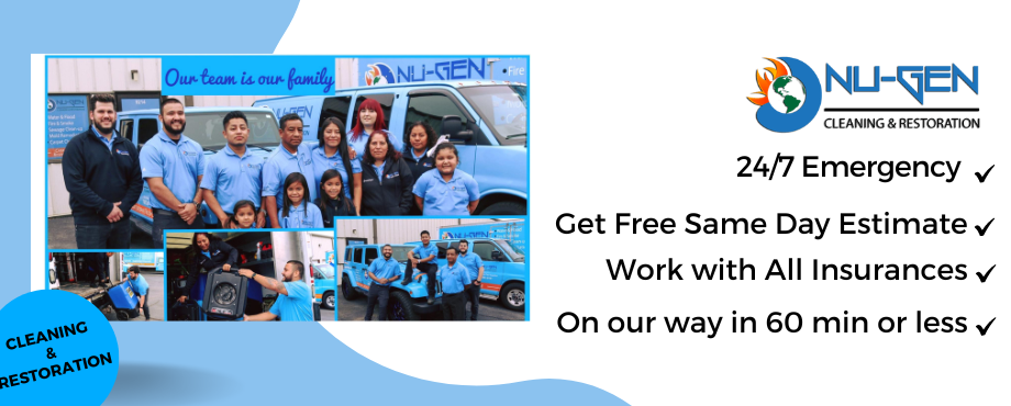 Nu-Gen Cleaning and Restoration Cleaning and Damage Restoration Team