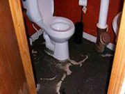 Water Damage Cleanup – West Babylon, New York