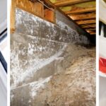 mold-remediation-Fort Myers, FL