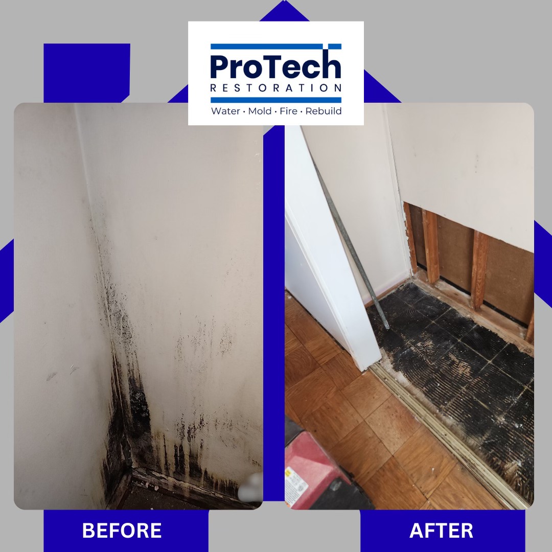 Mold Remediation: Restoring a Master Closet in Inwood Park