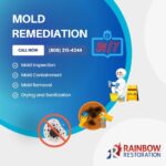 Mold Remediation, Kailua-Kona, HI