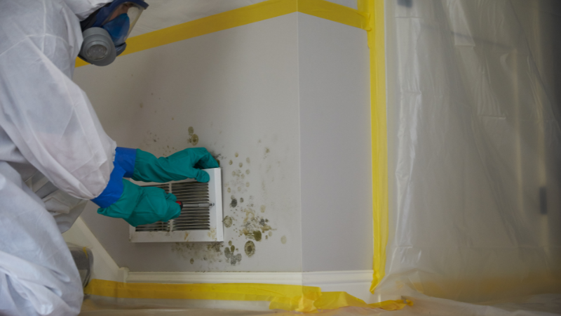 Mold Removal by ServiceMaster