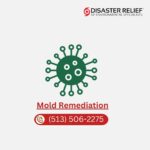 mold remediation services in liberty township ohio