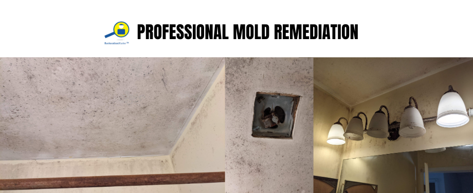 mold growth and mold remediation - RestorationMaster