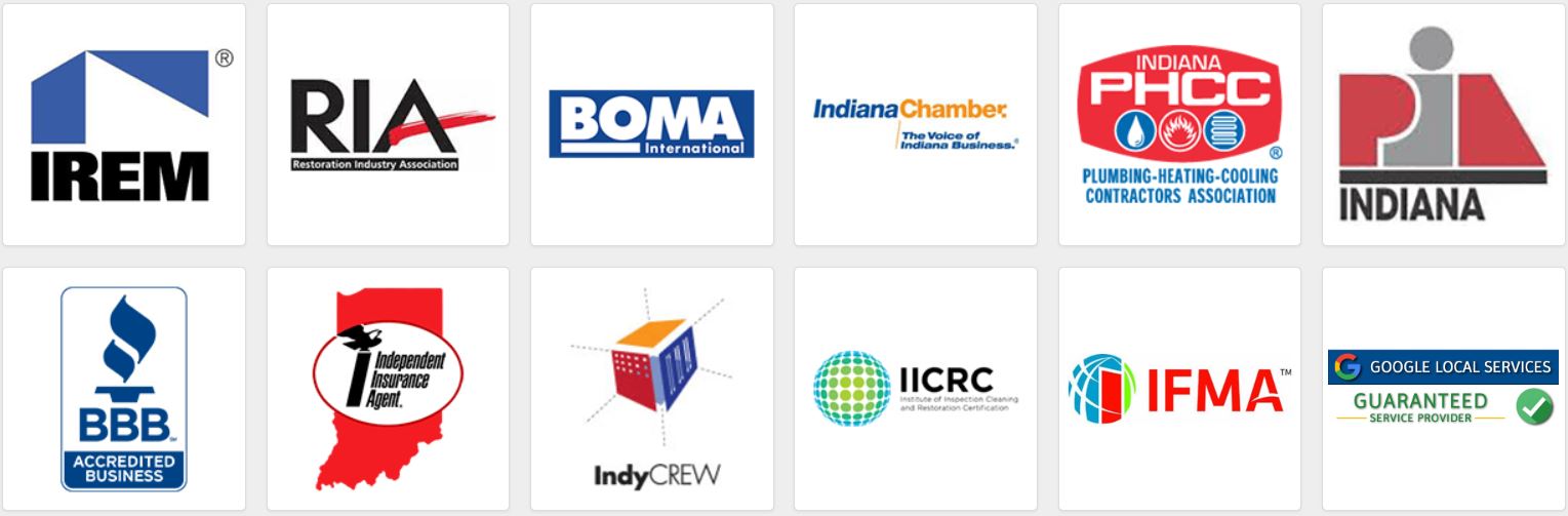 Mold Remediation in Terre Haute, IN Mold Removal