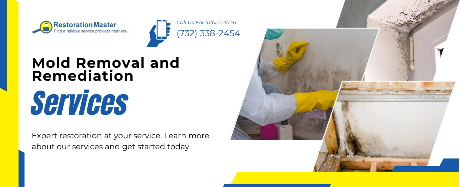 Mold Remediation and Removal in Manasquan, NJ - RestorationMaster