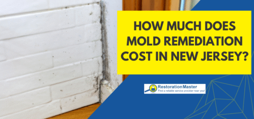 How Much Does Mold Remediation Cost in New Jersey - RestorationMaster