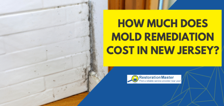 How Much Does Mold Remediation Cost in New Jersey - RestorationMaster