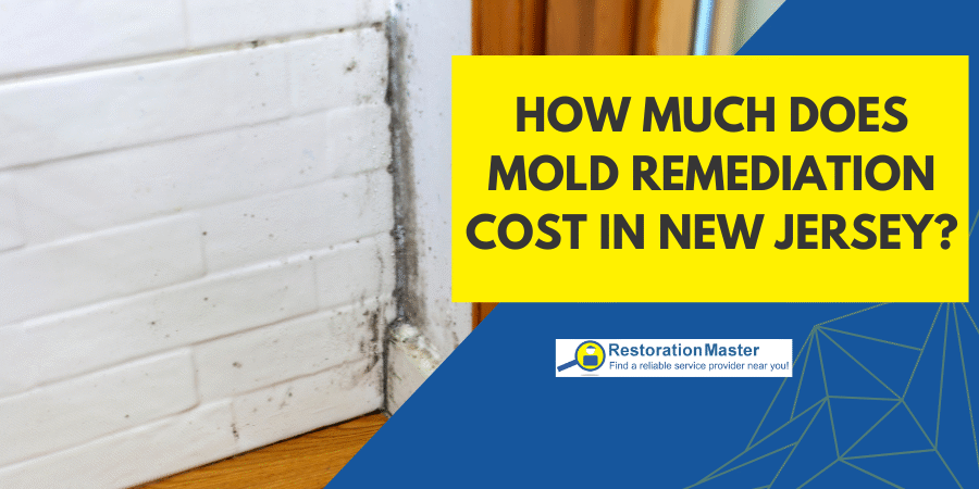 How Much Does Mold Remediation Cost in New Jersey - RestorationMaster