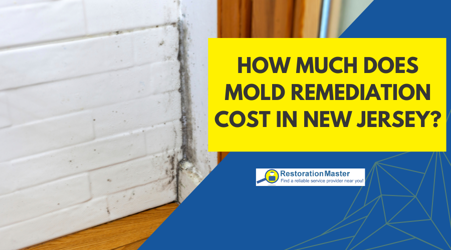 How Much Does Mold Remediation Cost in New Jersey - RestorationMaster