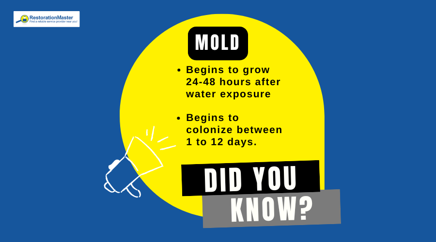 Did You Know Mold Growth - RestorationMaster.1