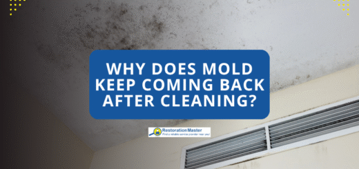 Why Does Mold Keep Coming Back After Cleaning - RestorationMaster