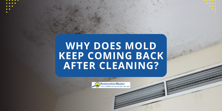 Why Does Mold Keep Coming Back After Cleaning - RestorationMaster