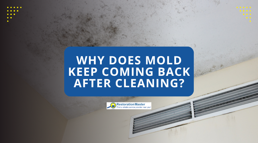 Why Does Mold Keep Coming Back After Cleaning - RestorationMaster