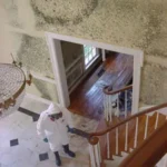 Mold Removal and Remediation – Manchester, NH