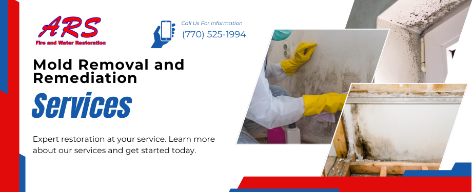 Mold Removal and Remediation in Marietta, GA - ARS Mitigations
