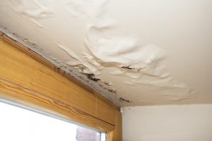 Water damage restoration in Marysville, CA by RestorationMaster - water damage in ceiling, next to a window