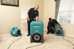 26 Best Mesa Water Damage Restoration Services - Expertise.com