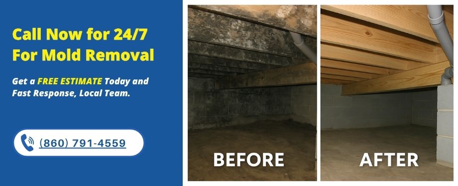 mold remediation experts middle town ct