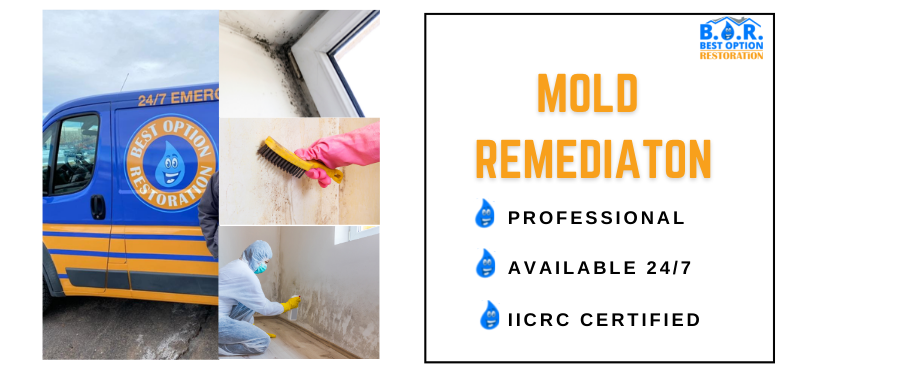 Mold Remediation in Middletown, NY