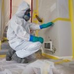 Mold-Removal-Services-in-Millburn-NJ