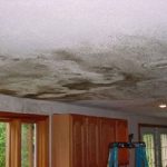 Ceiling Mold