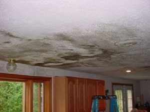 Ceiling Mold