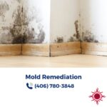 South Pacific Environmental For Mold Remediation in Missoula MT