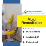 mold remediation experts monrovia ca